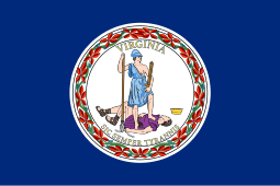 Virginia Pyrotechnic Insurance
